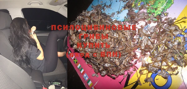 хмурый Приозерск