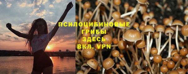 mdpv Балахна